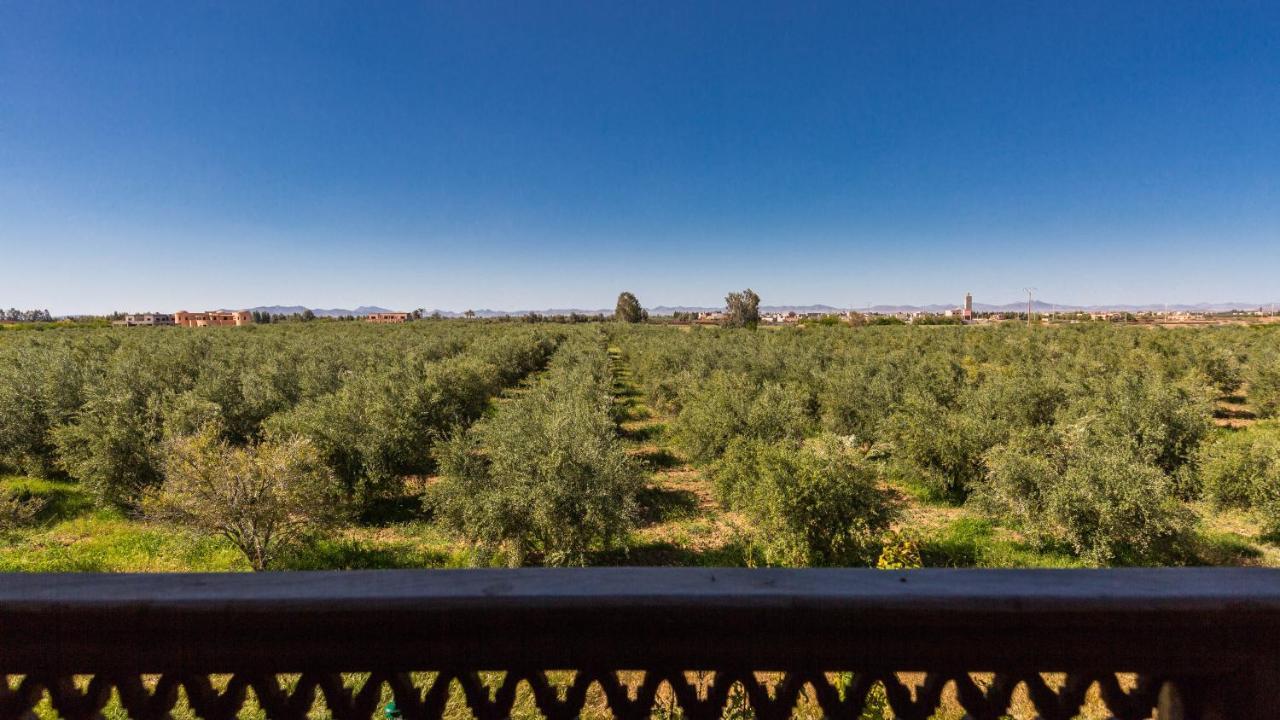 L'Oliveraie De L'Atlas Douar Caïd Layadi Exteriör bild